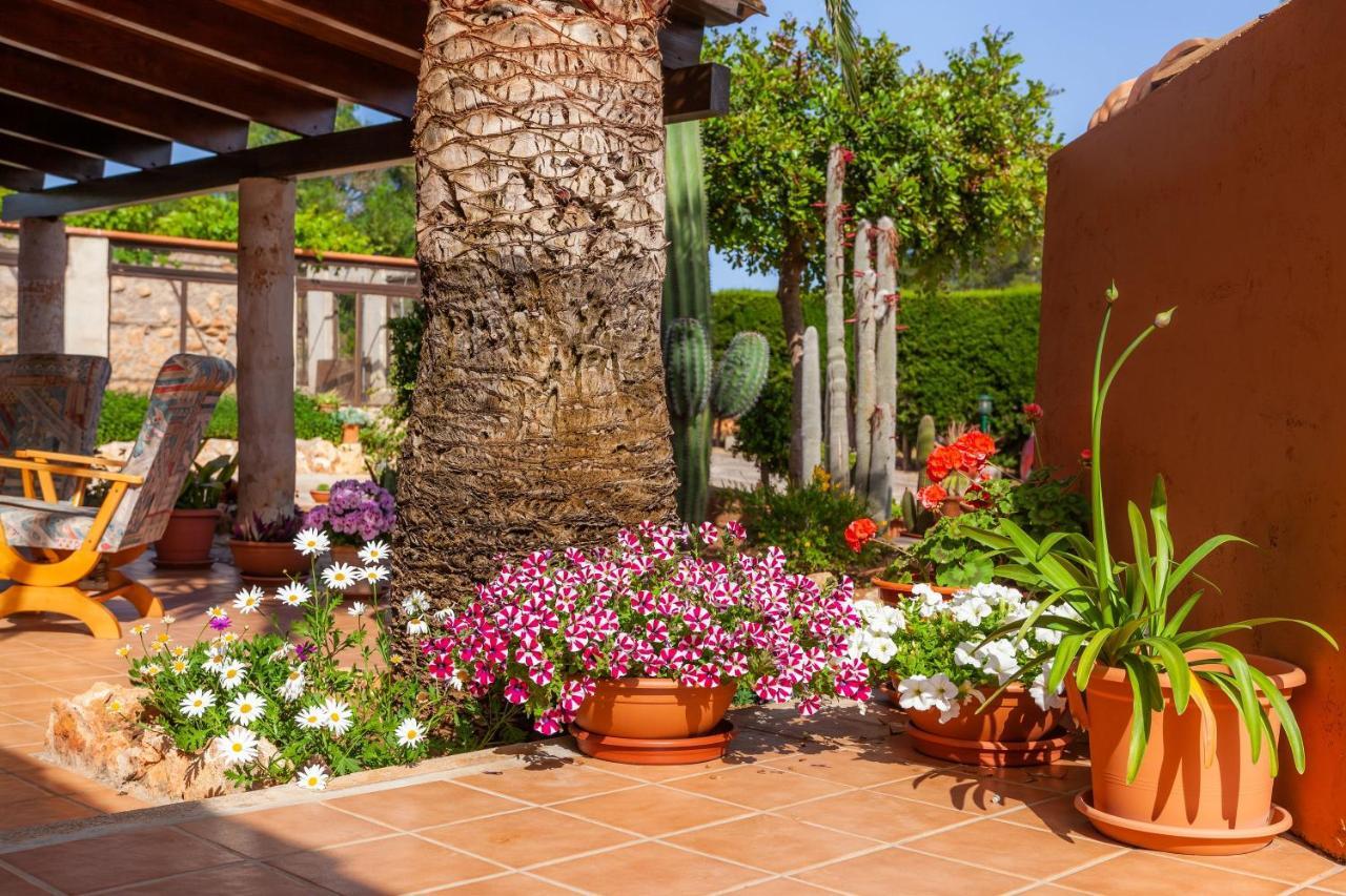 Ses Salines Cottage With Private Pool And Barbecue Buitenkant foto