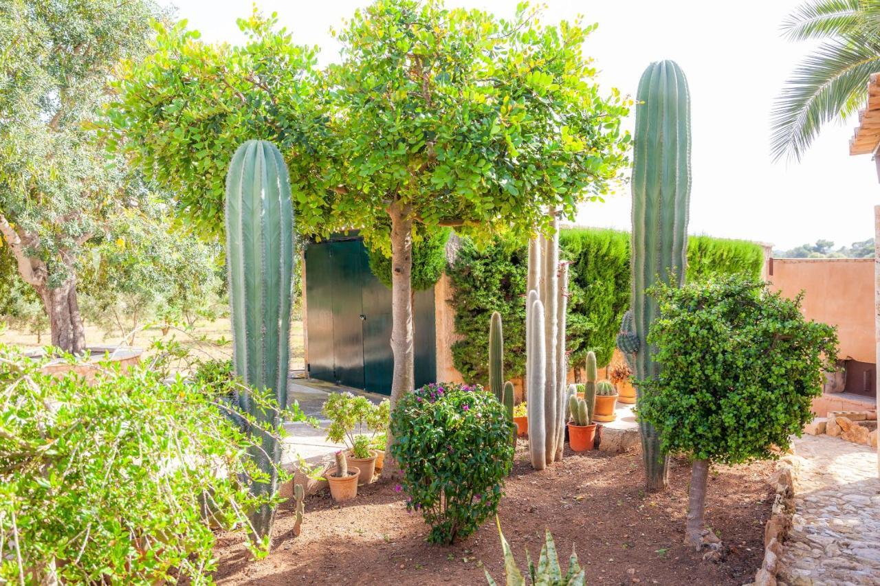 Ses Salines Cottage With Private Pool And Barbecue Buitenkant foto